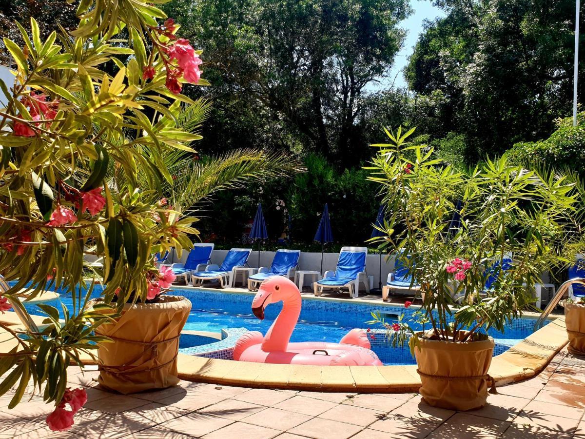 Hotel Feniks Lozenets Esterno foto